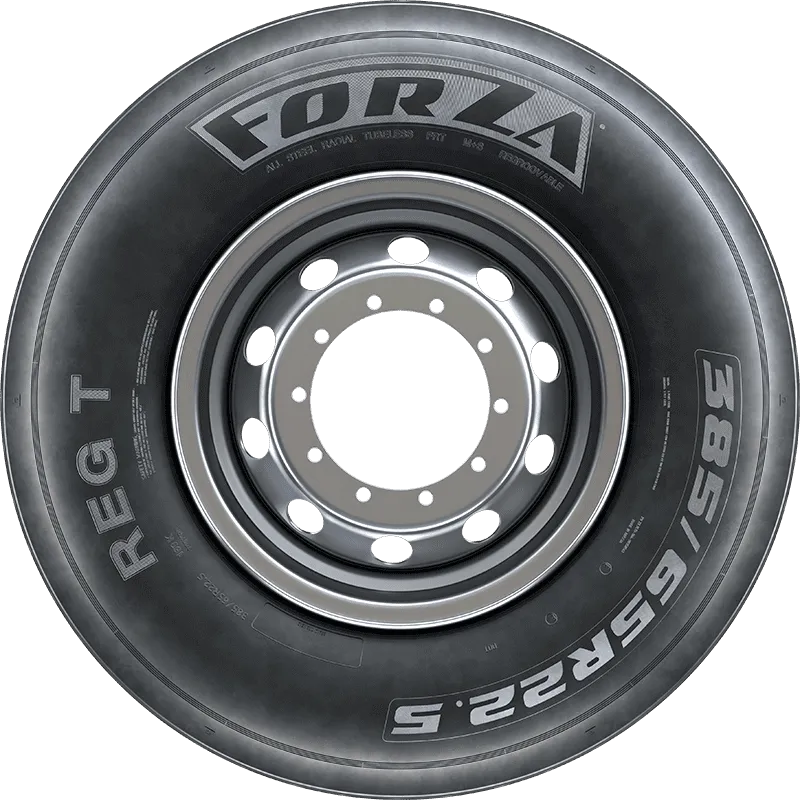 FORZA REG T в Петушках — KAMA TYRES FORZA REG T в Петушках